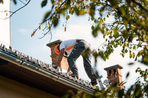 Best Residential Roof Replacement  in Bellevue, MI