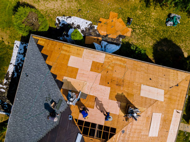 Best Roof Restoration Services  in Bellevue, MI