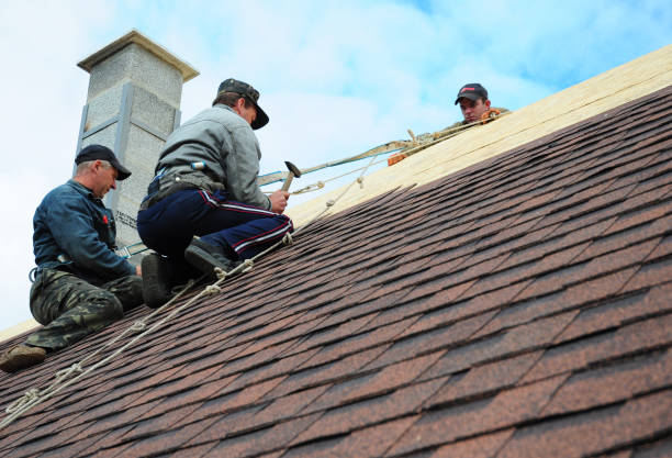 Best Emergency Roof Repair  in Bellevue, MI