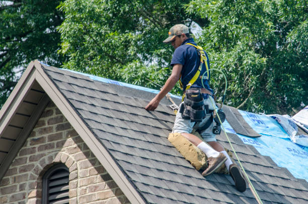 Best Roof Repair Services  in Bellevue, MI