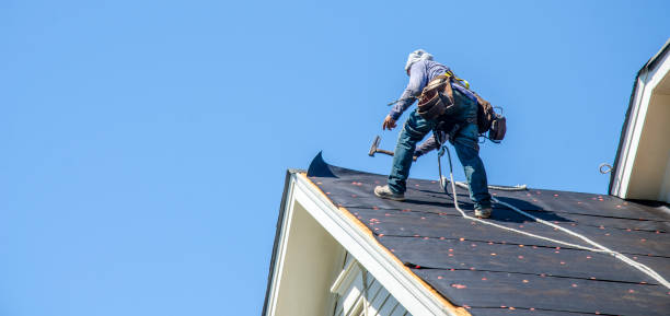 Best Metal Roofing Contractor  in Bellevue, MI